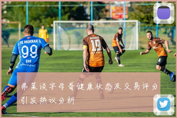 弗莱谈字母哥健康状态及交易评分引发热议分析
