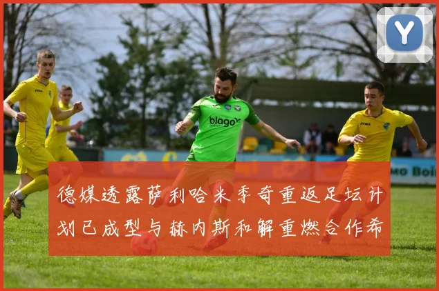 德媒透露萨利哈米季奇重返足坛计划已成型与赫内斯和解重燃合作希望