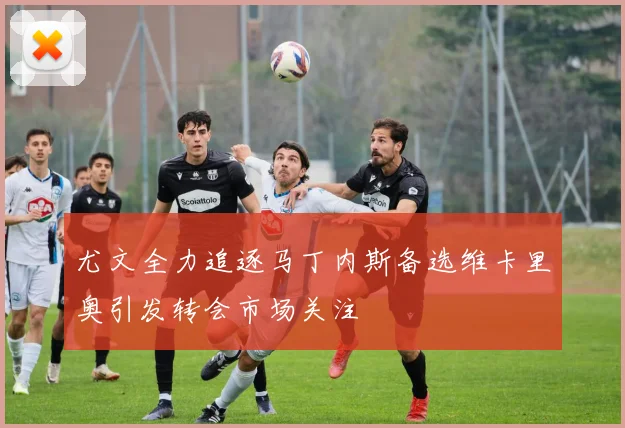 尤文全力追逐马丁内斯备选维卡里奥引发转会市场关注